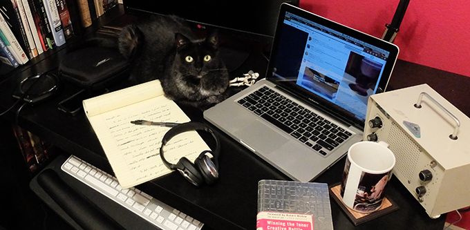 Feline Editor